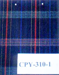 Cpy-310-1