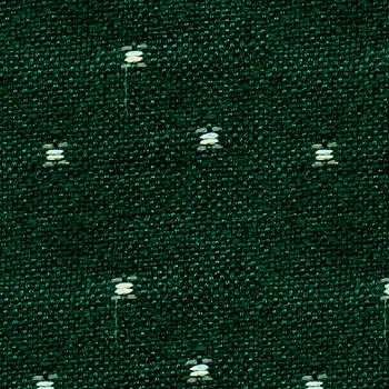 FSM-00020