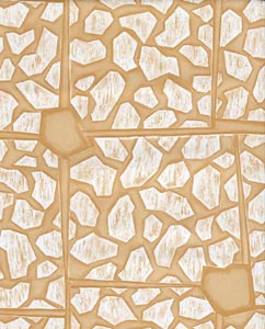 CPC-00096B-1B