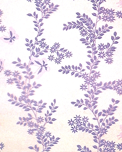 CPC-00138-1