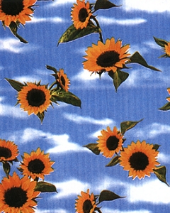 CPC-00143-6