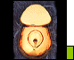 Dml00170