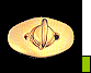 Dml00275