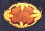 DMO00122