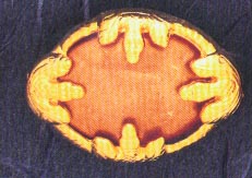 DMO00123