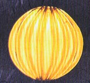 DMO00124