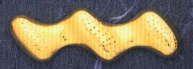 DMO00134