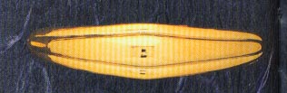 DMO00138