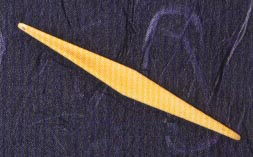 DMO00160