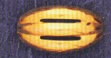 DMO00246