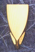 DMO00336