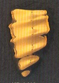 DMO00393