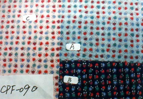 CPF-0090.JPG