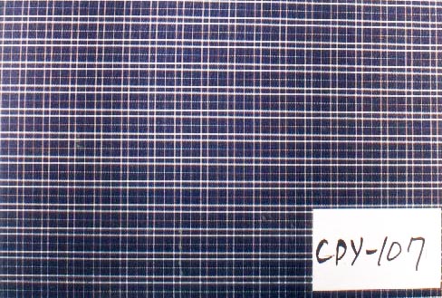 Cpy-107
