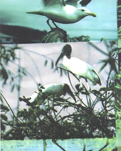 CPC-00313